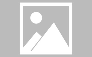 中山龙江乐从网站建设（乐从和龙江）